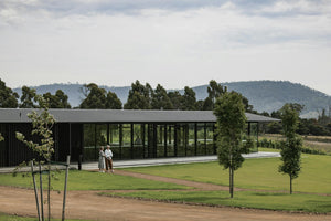 Why You Should Try Tolpuddle: Tasmania's Premier Chardonnay and Pinot Noir