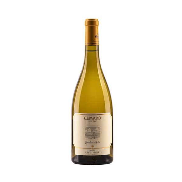 Castello della Sala Estate Cervaro della Sala 2023