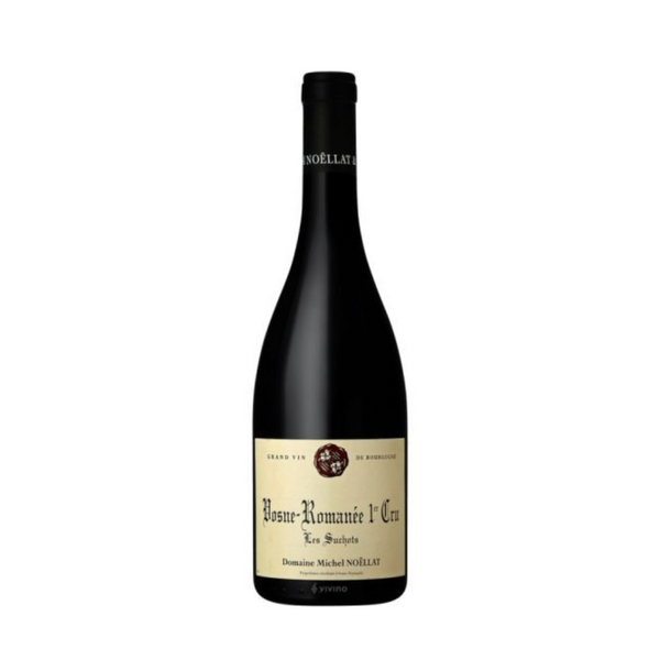 Domaine Michel Noellat Nuits-Saint-Georges 1er Cru Aux Boudots 2020