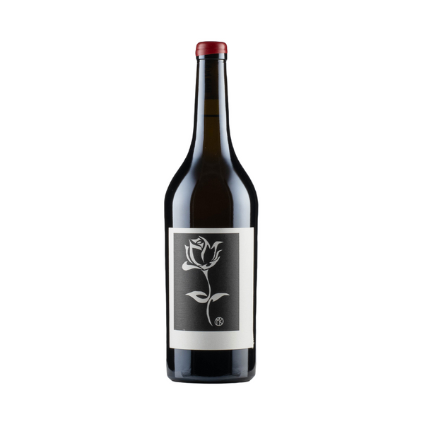 Sine Qua Non Aperta 2018