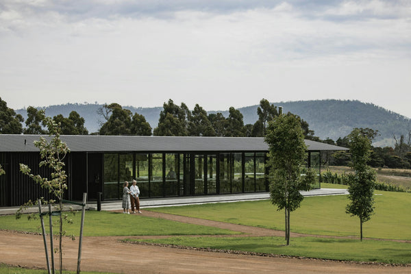 Why You Should Try Tolpuddle: Tasmania's Premier Chardonnay and Pinot Noir