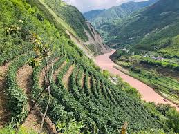 Yunnan Wine Region - China's Shangri-La of Wine