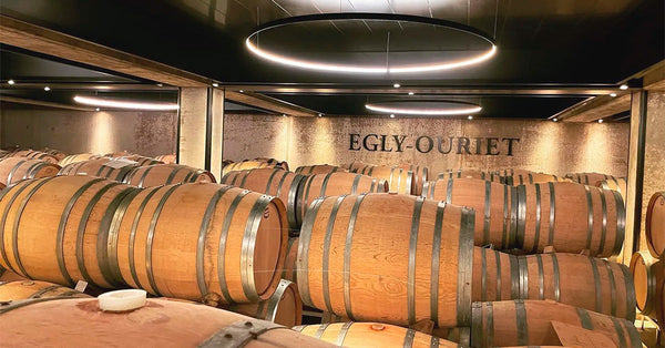 The Best Egly-Ouriet Champagne to Buy in 2025 – Tasting Notes, Prices