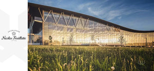 Nicolas Feuillatte vineyards