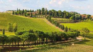 Tuscany Scenery