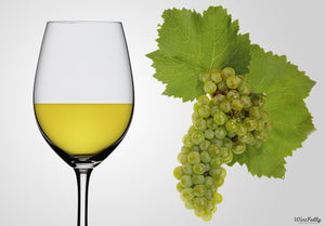 Chardonnay Wine: Exploring the World’s Most Loved White Wine