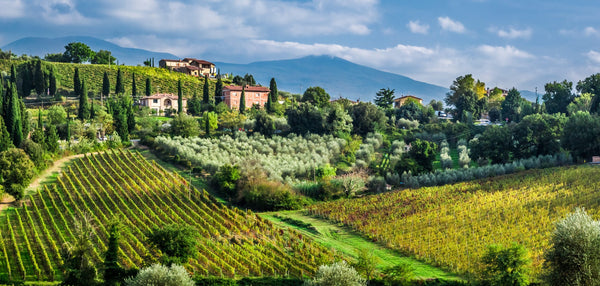 Regions of Italy Wine