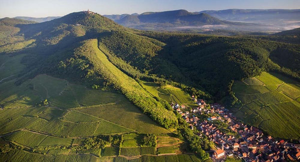 Alsace