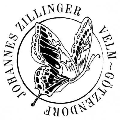 Johannes Zillinger
