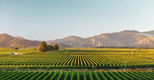 Marlborough