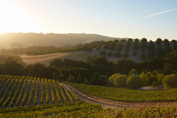 Paso Robles