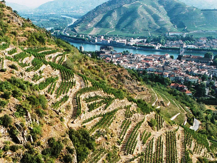 Rhône