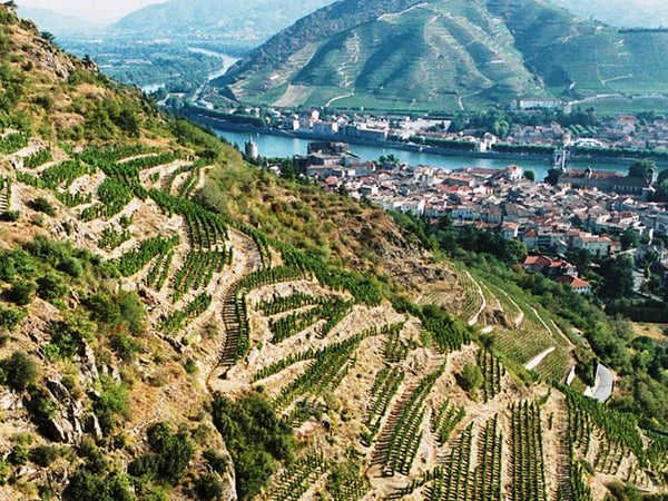 Rhône