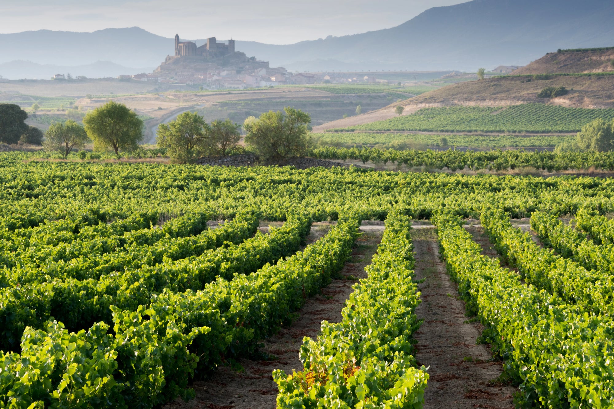 Rioja