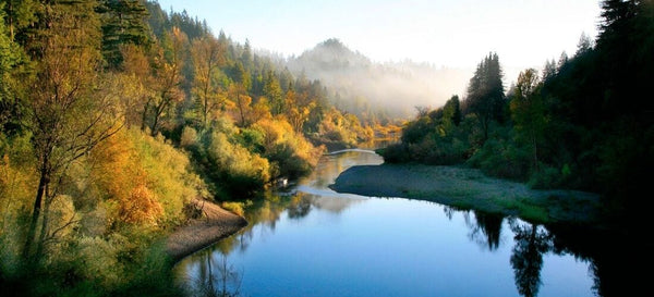 Russian River Valley