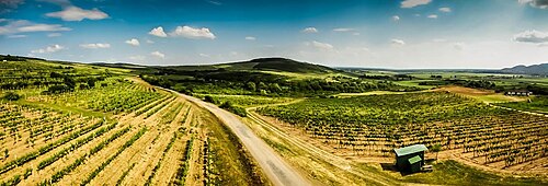 Slovakia