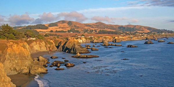 Sonoma Coast
