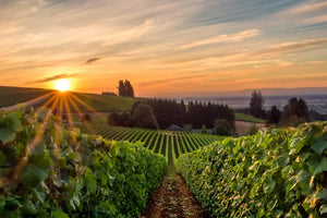 Willamette Valley