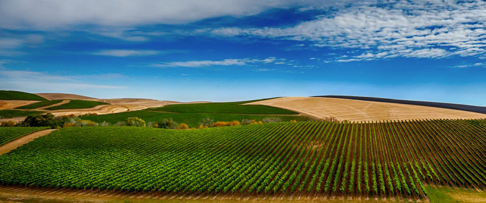 Walla Walla Valley