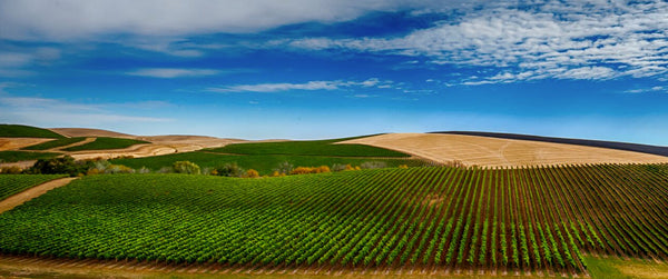 Walla Walla Valley