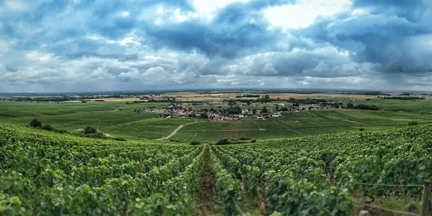 Vosne-Romanee