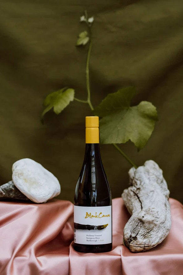 Blank Canvas Holdaway Vineyard Sauvignon Blanc with yellow cap on a pink surface with rocks and greenery