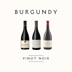 Burgundy square banner en