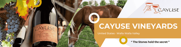 Cayuse Vineyards wine bottle with a horse and vineyard background