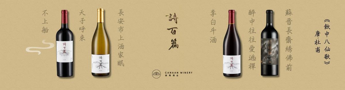 Chapter and verse wines banner