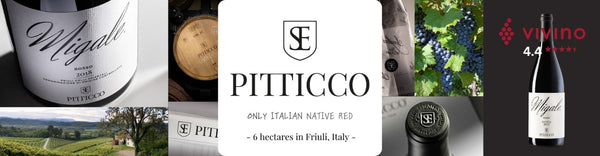 Pitticco_top_promotional banner