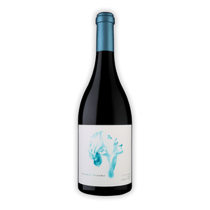 Summer Dreams Super Chill Pinot Noir 2021 Wine bottle
