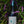 Summer Dreams Twilight Pinot Noir 2022