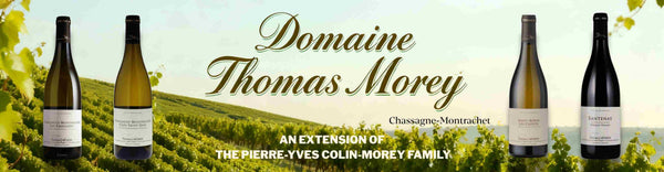 Wine bottles with 'Domaine Thomas Morey' branding against a vineyard background