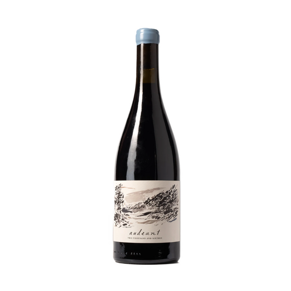 Audeant Pinot Noir 2016