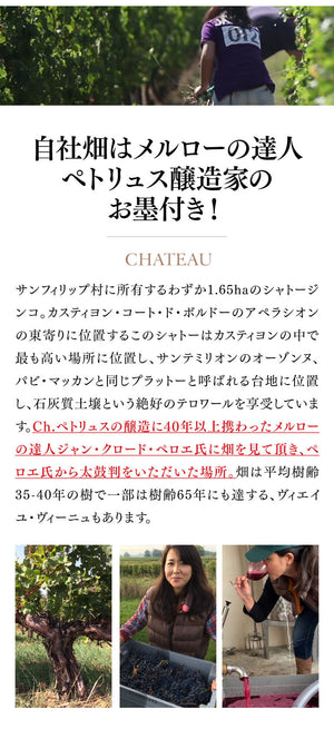 Château Ginkgo Castillon Côtes de Bordeaux 2021